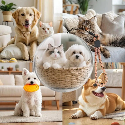 3D Video Crystal Ball DIY Memory Art Glass Ball Lamp Spherical Pixel Display 2.7inchs Screen 4GB Videos Player for Gift